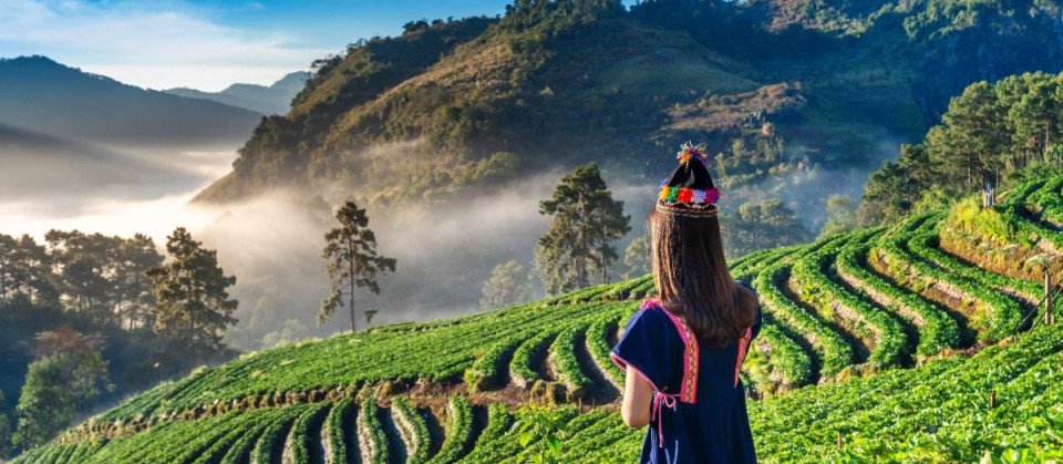 Kerala Holiday Packages: Your Complete Guide to Planning an Unforgettable Trip to God's Own Country