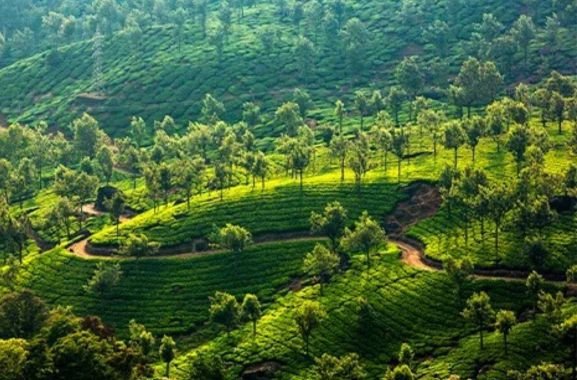 2N3D Kerala Budget Package