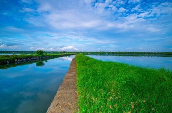 5N6D Kerala Beach Plan