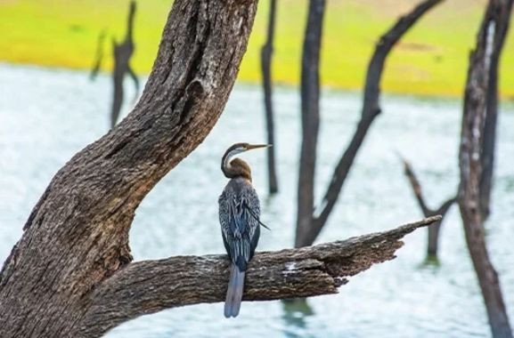 4N5D kerala Standard Family Package