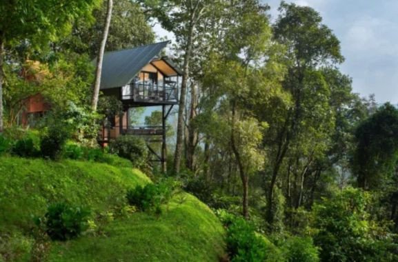 4N5D Kerala Tree House Package